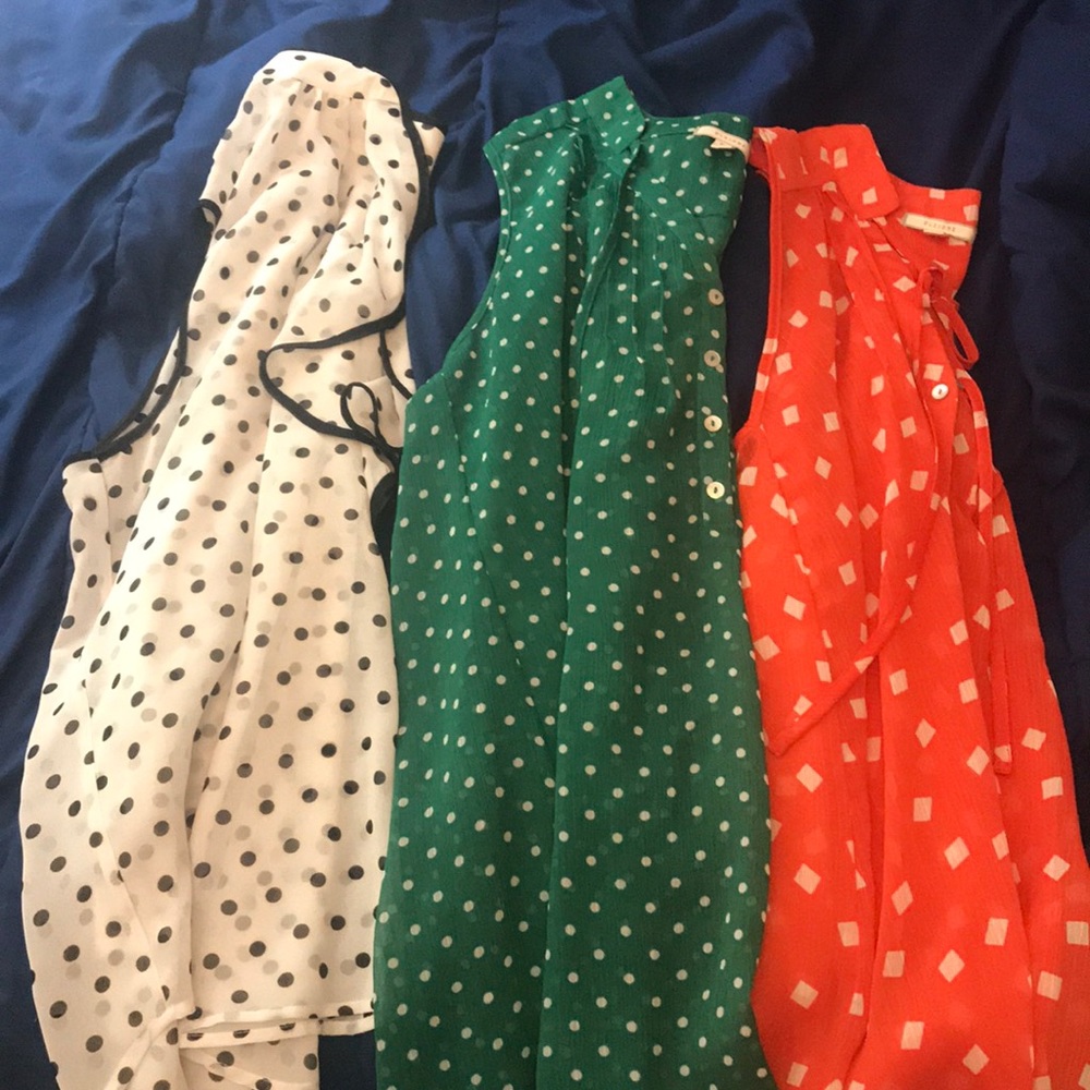 Pleione shirts